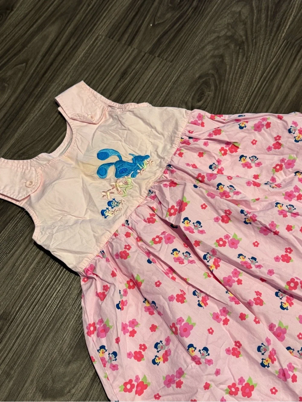 Blue’s Clues Pink Floral Embroidered Dress Girls Size 6 Y2K 2000